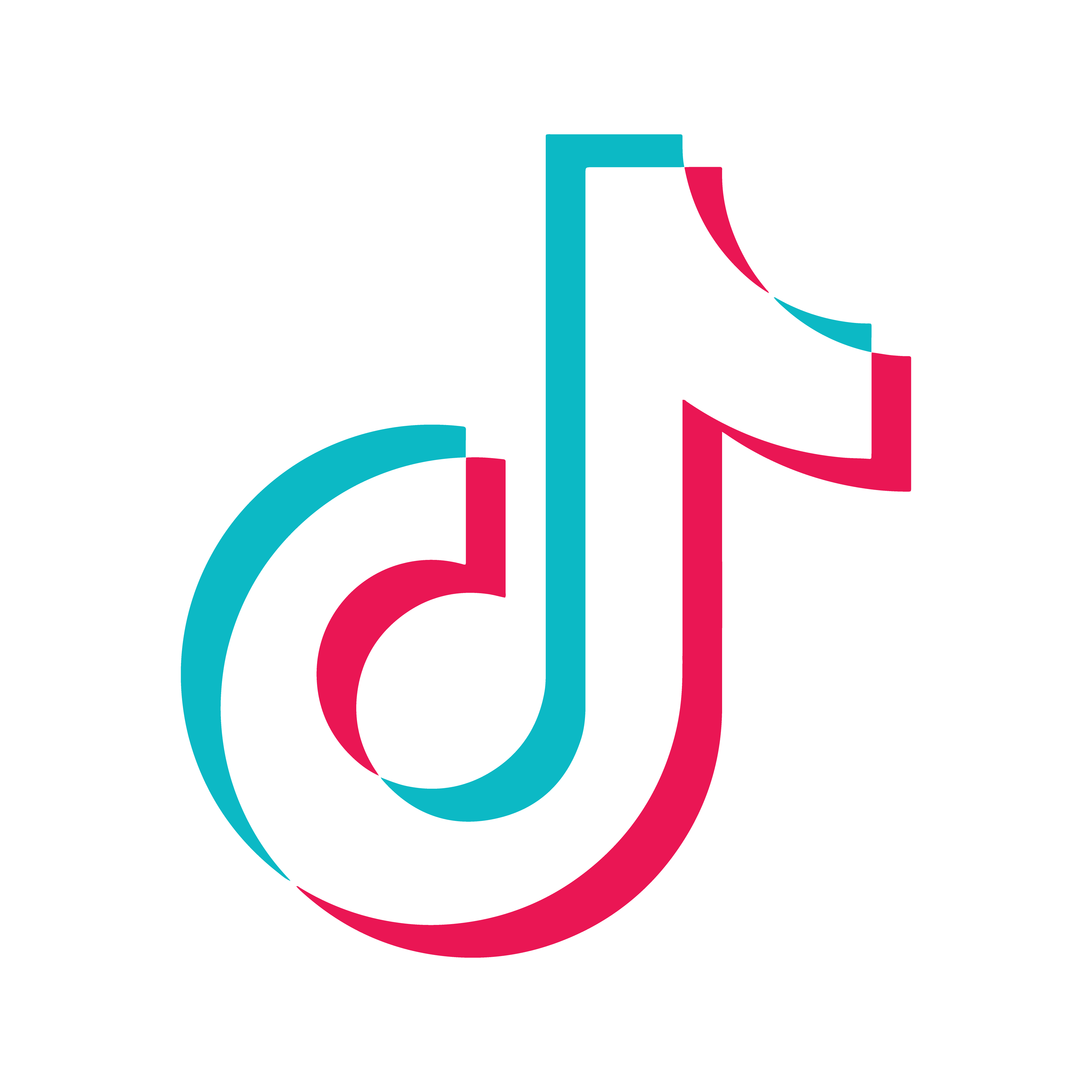 tiktok icon